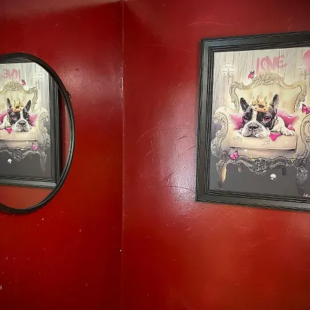 250m2 Avec Piscine Chauffee & & Kota-grill & Sauna * Saint-Die-des-Vosges