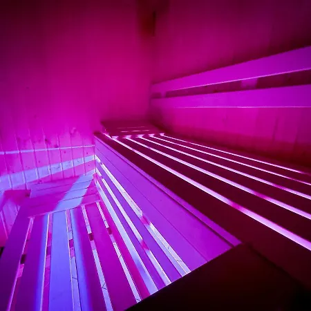 250m2 Avec Piscine Chauffée&spa&kota-grill&sauna * Saint-Die-des-Vosges