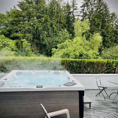 250m2 Avec Piscine Chauffee & & Kota-grill & Sauna * Saint-Die-des-Vosges