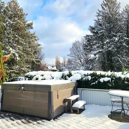 250m2 Avec Piscine Chauffee & & Kota-grill & Sauna Saint-Die-des-Vosges