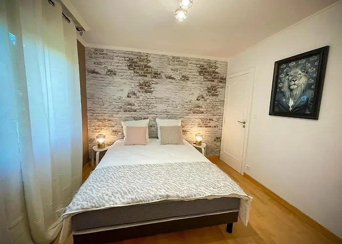 250m2 Avec Piscine Chauffee & & Kota-grill & Sauna * Saint-Die-des-Vosges